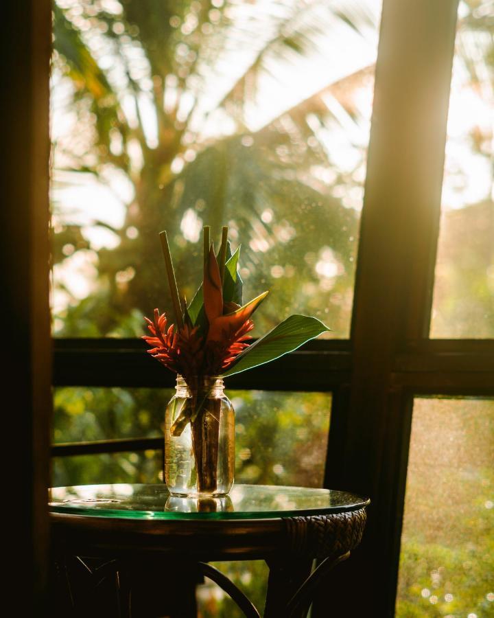 Roam Yoga & Wellness Lodge Bocas del Toro Exteriör bild