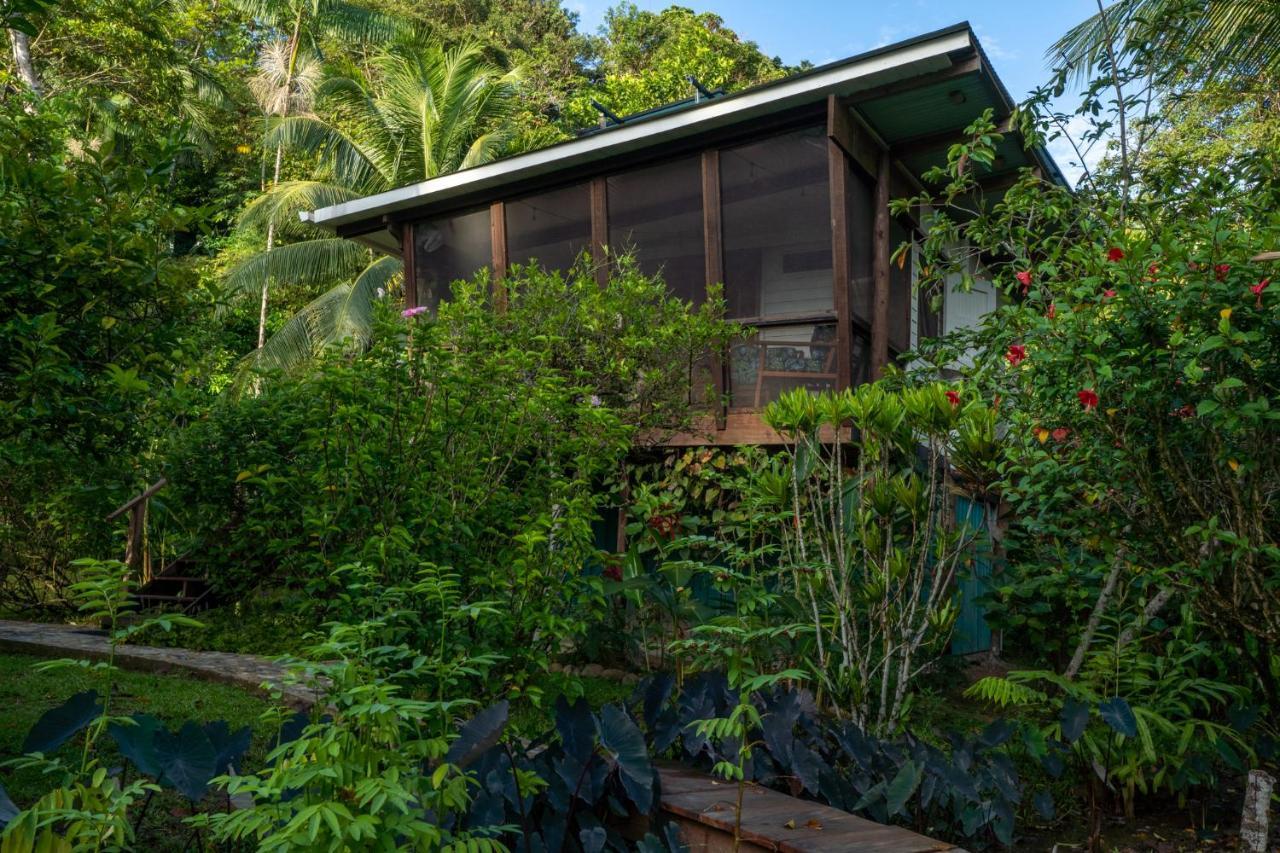 Roam Yoga & Wellness Lodge Bocas del Toro Exteriör bild