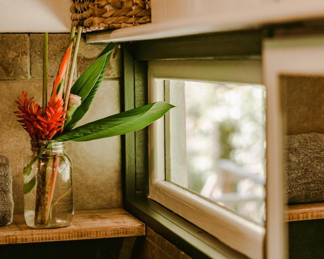 Roam Yoga & Wellness Lodge Bocas del Toro Exteriör bild