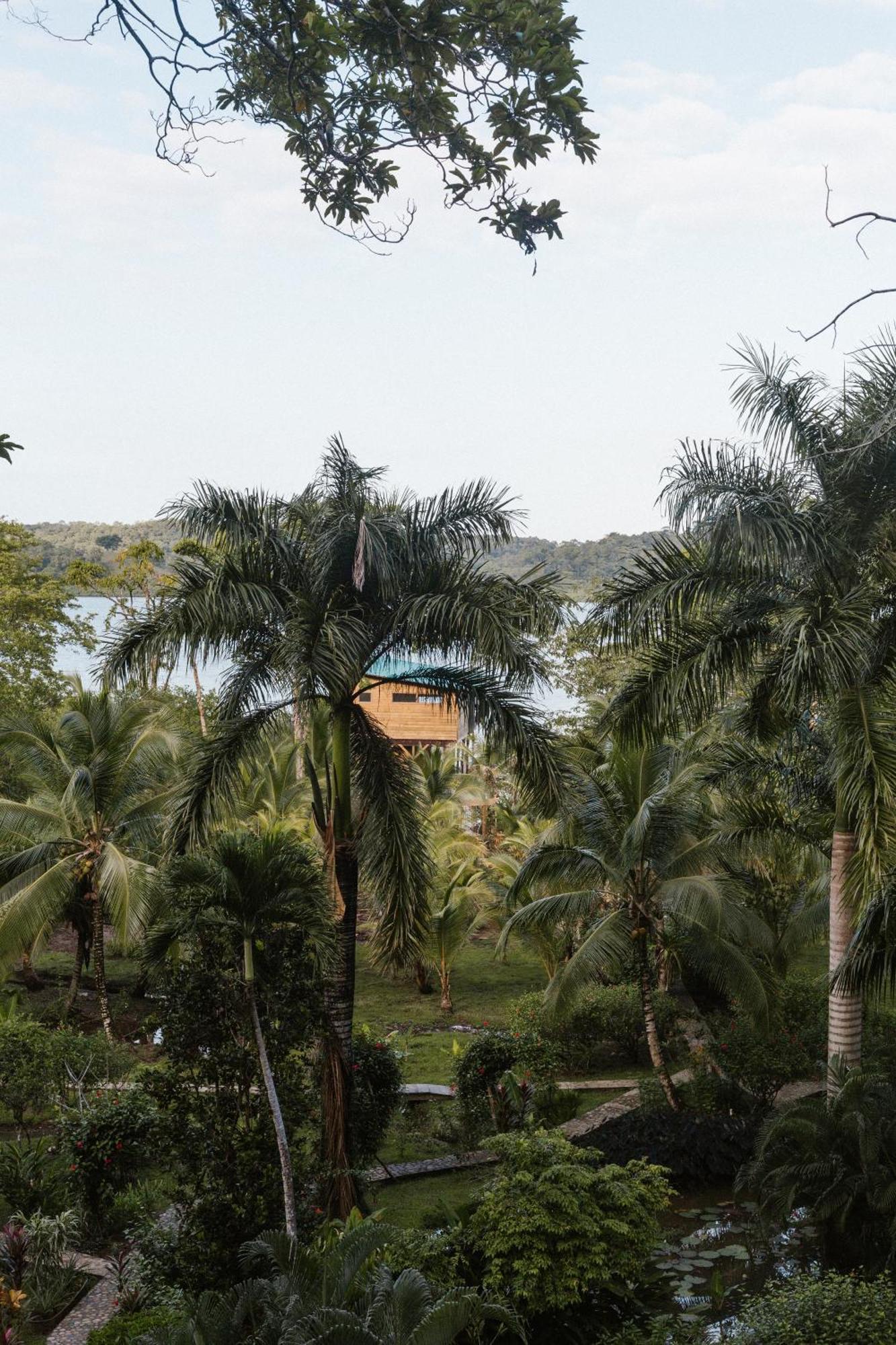 Roam Yoga & Wellness Lodge Bocas del Toro Exteriör bild