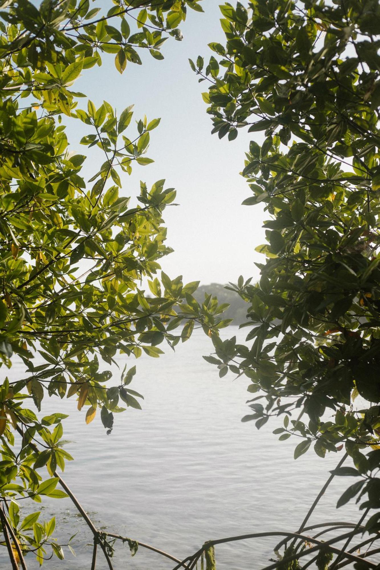 Roam Yoga & Wellness Lodge Bocas del Toro Exteriör bild