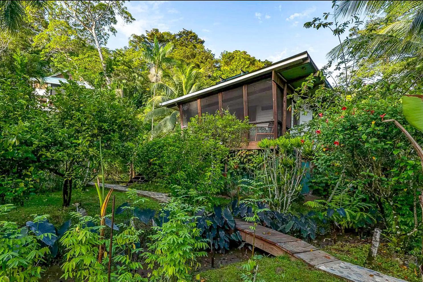 Roam Yoga & Wellness Lodge Bocas del Toro Exteriör bild