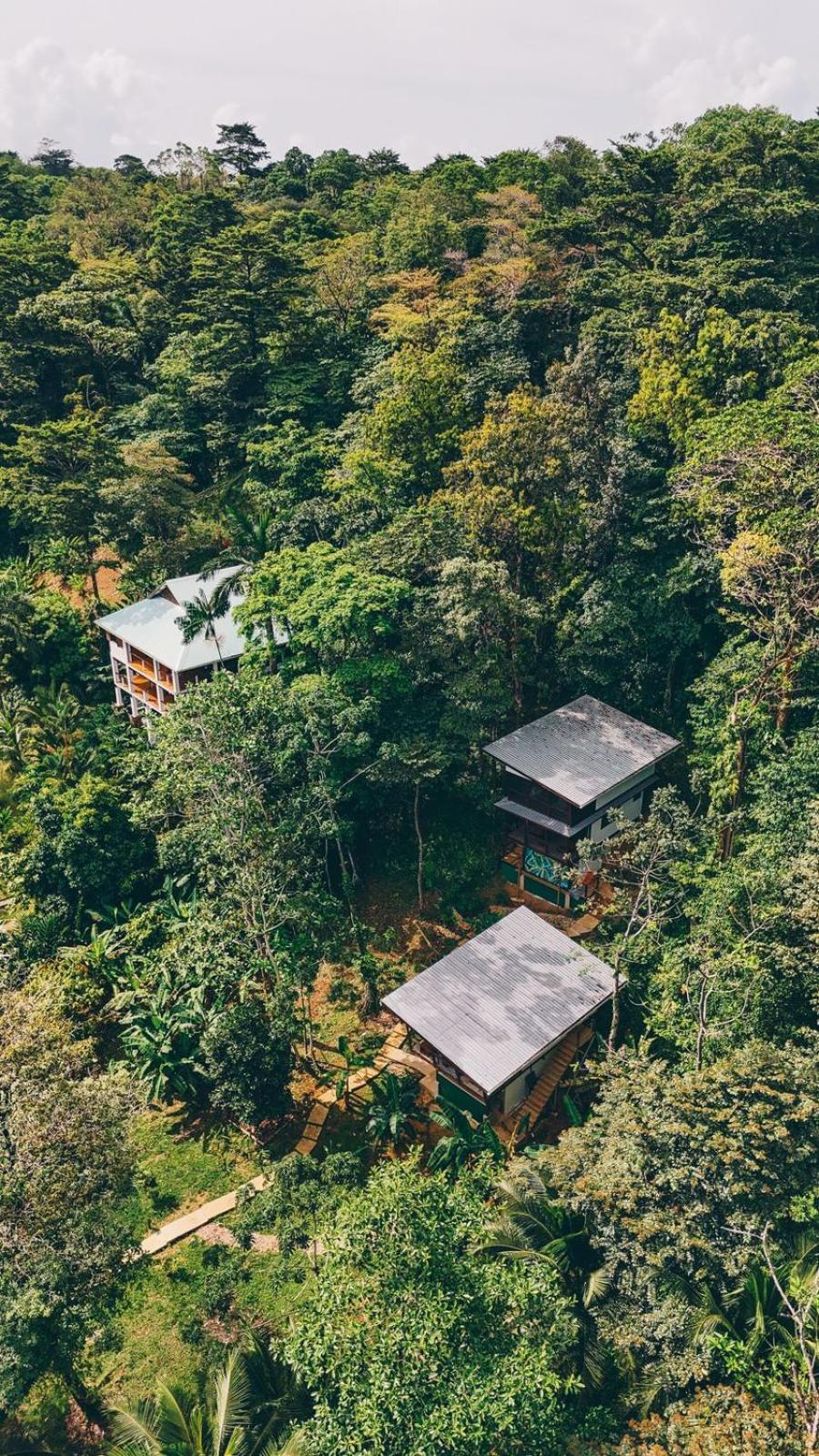 Roam Yoga & Wellness Lodge Bocas del Toro Exteriör bild